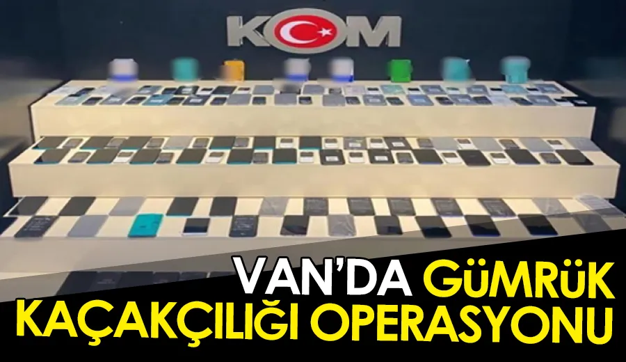 Van’da gümrük kaçakçılığı operasyonu