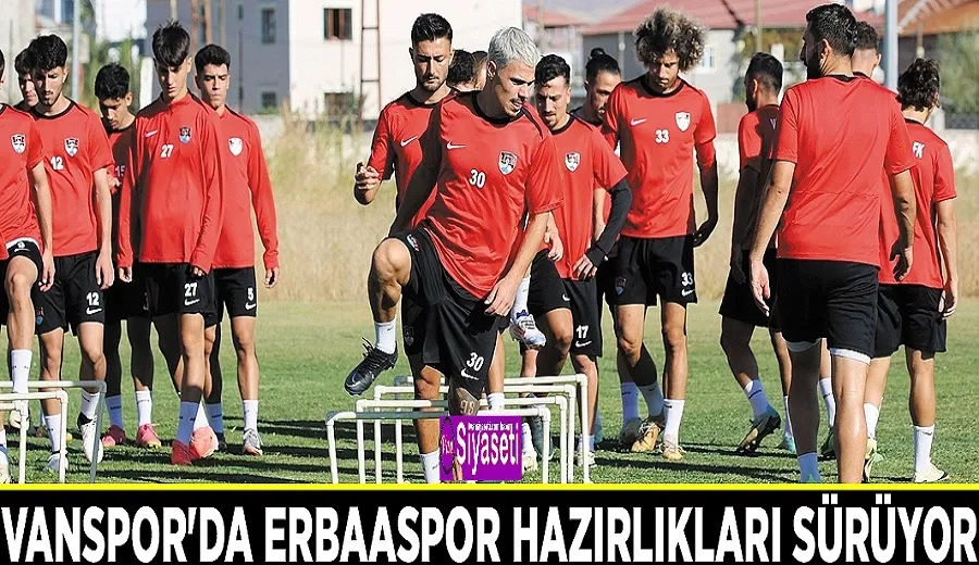 Vanspor