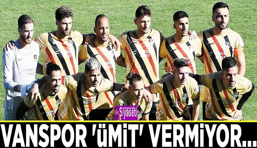 Vanspor 