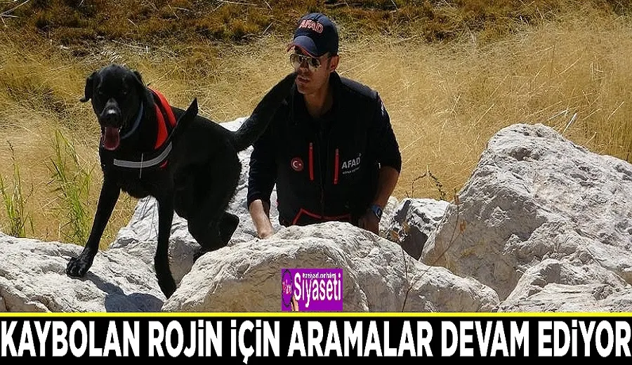 Kaybolan Rojin için aramalar devam ediyor