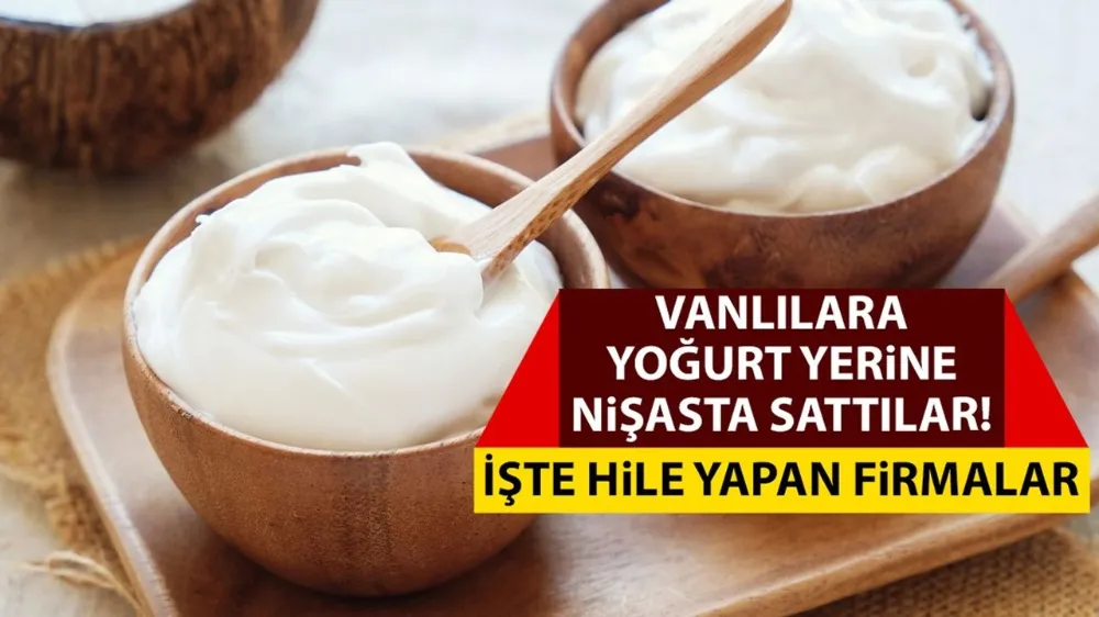 Vanlılara yoğurt yerine nişasta sattılar! İşte Van’da hile yapan firmalar…