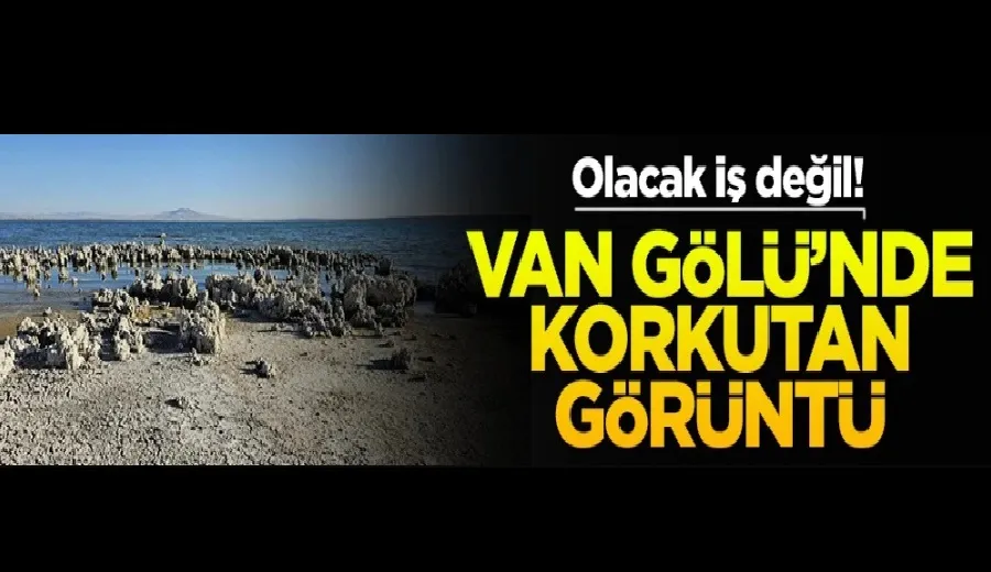 Olacak iş değil! Van Gölü