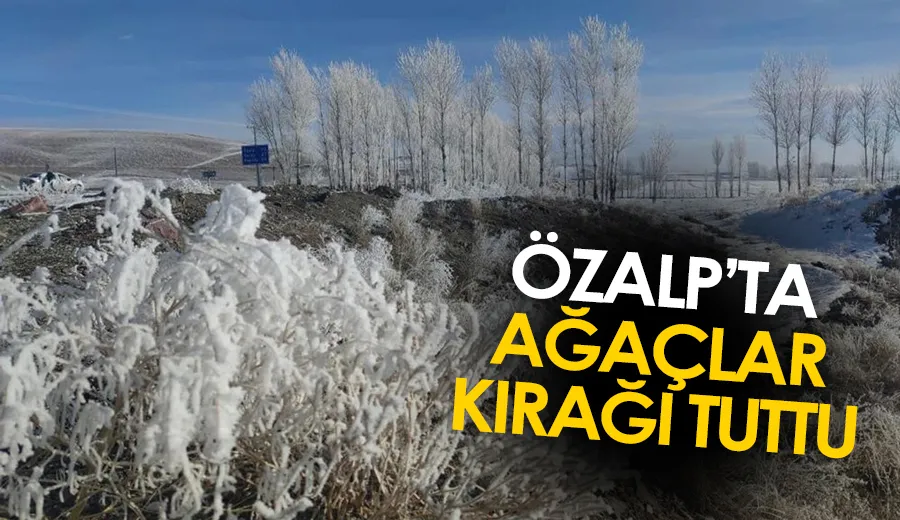 Özalp’ta ağaçlar kırağı tuttu