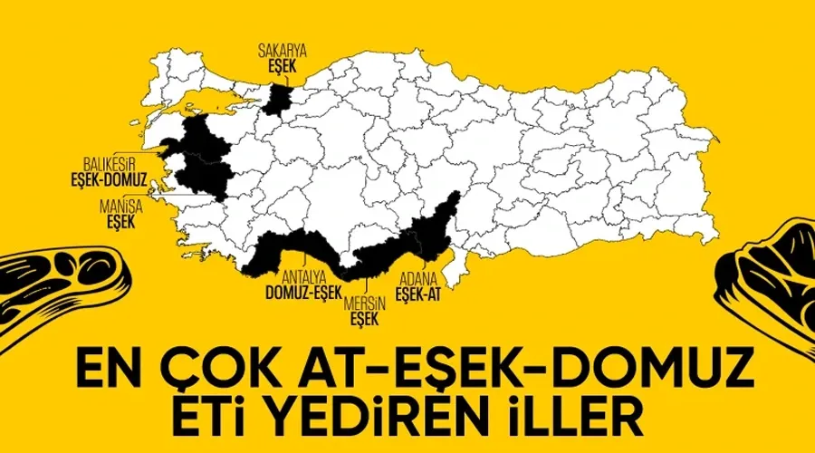 At ve Eşek Etine Dikkat! Adana ve Sakarya