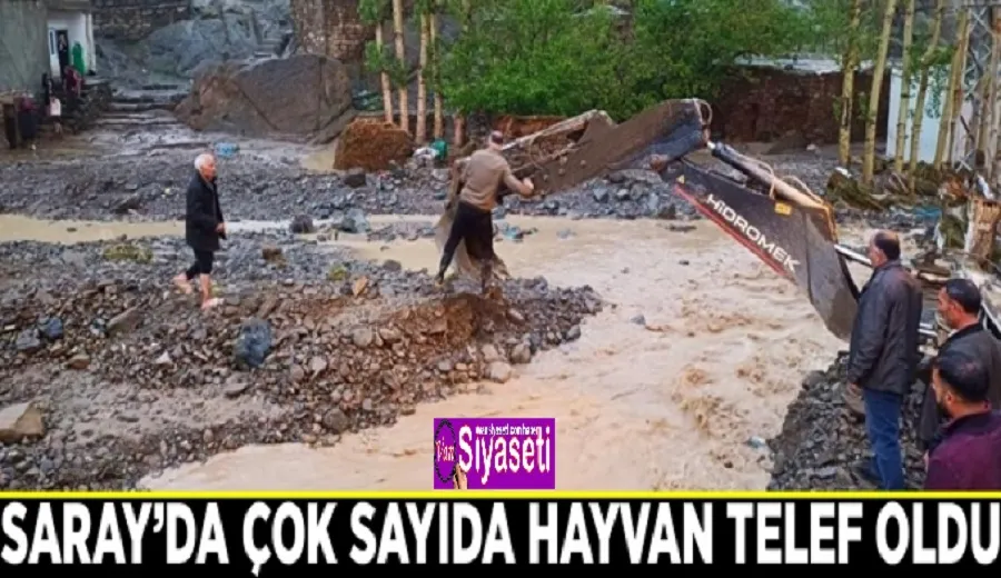 Saray’da çok sayıda hayvan telef oldu