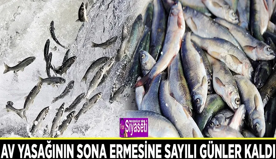 Av yasağının sona ermesine sayılı günler kaldı