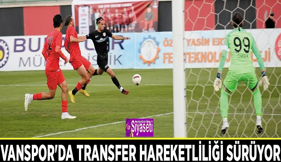 Vanspor