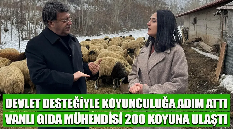 Vanlı Gıda Mühendisi Melike Mendaş, Devlet Desteğiyle Koyunculuğa Adım Attı: 200 Koyuna Ulaştı