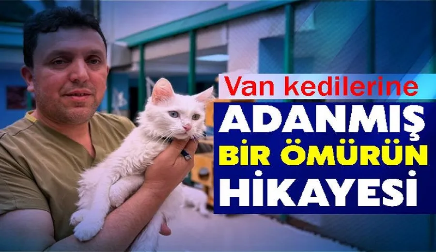 Van kedilerine Adanmış Bir Ömürün Hikayesi