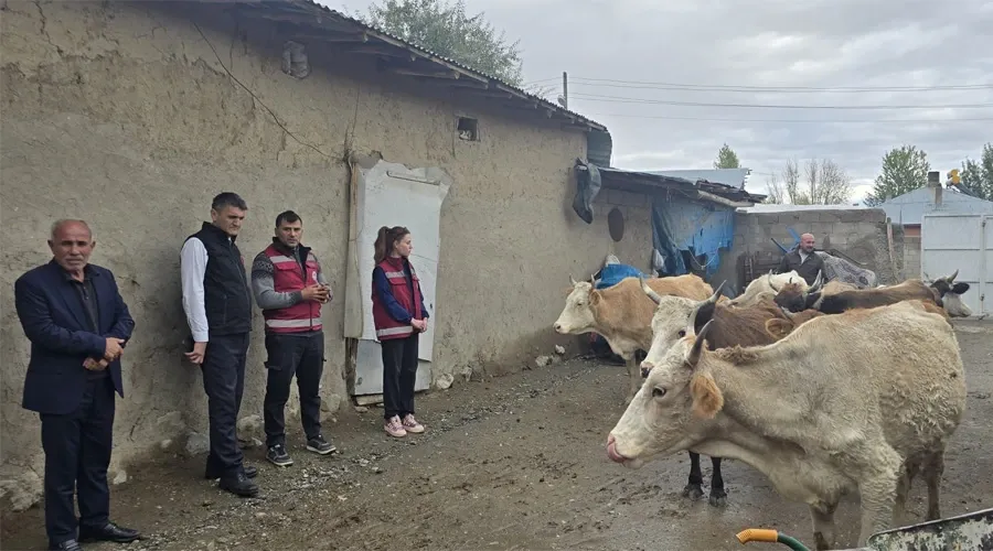Van İl Tarım Müdürlüğü’nden Hayvancılıkta Eğitim Seferberliği: Buzağı Kayıpları Azalacak