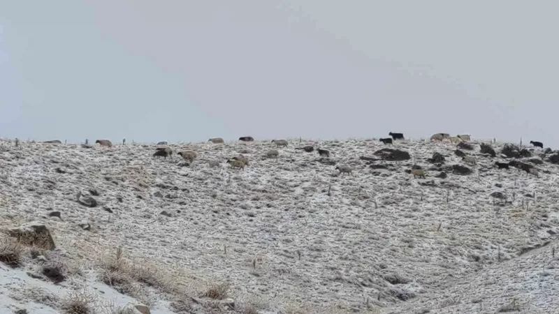 Van’da kış yüzünü gösterdi: Erek Dağı ve çevresi beyaza büründü