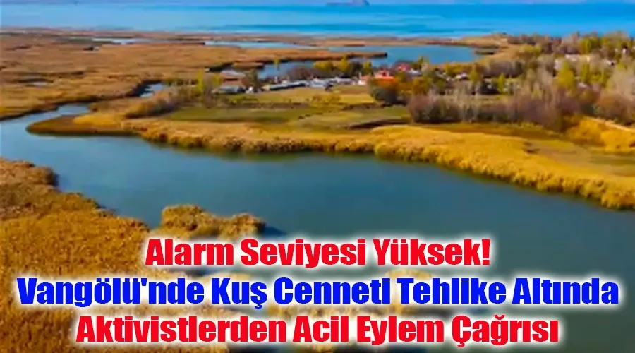 Alarm Seviyesi Yüksek! Vangölü