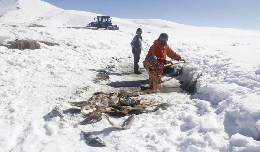 Buz tutan gölette ‘Eskimo’ usulü balık avı