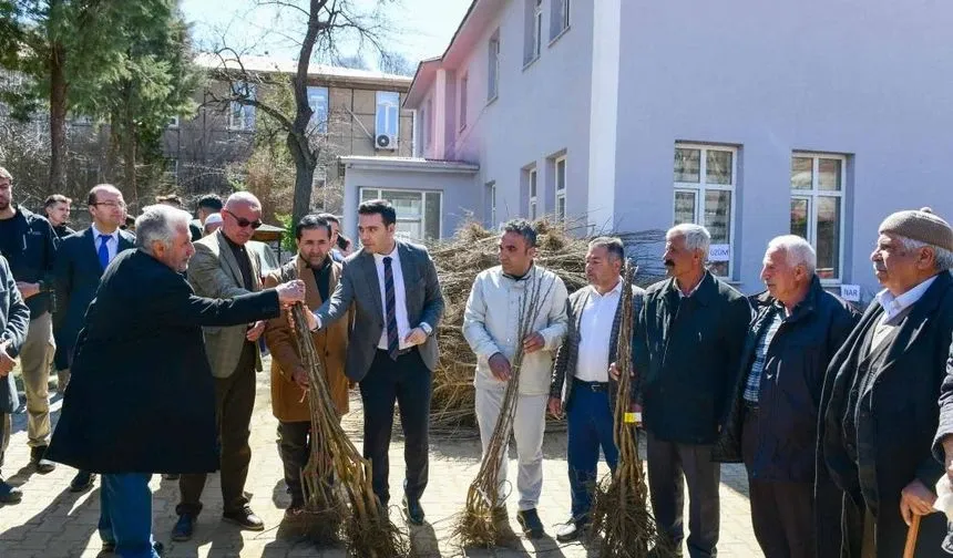 Çatak’ta çiftçilere yüzde 80 hibe ile fidan dağıtımı yapıldı