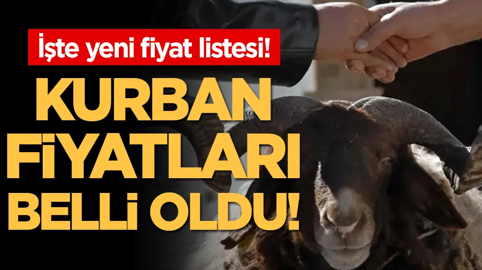 Kurban fiyatları belli oldu! İşte yeni fiyat listesi...