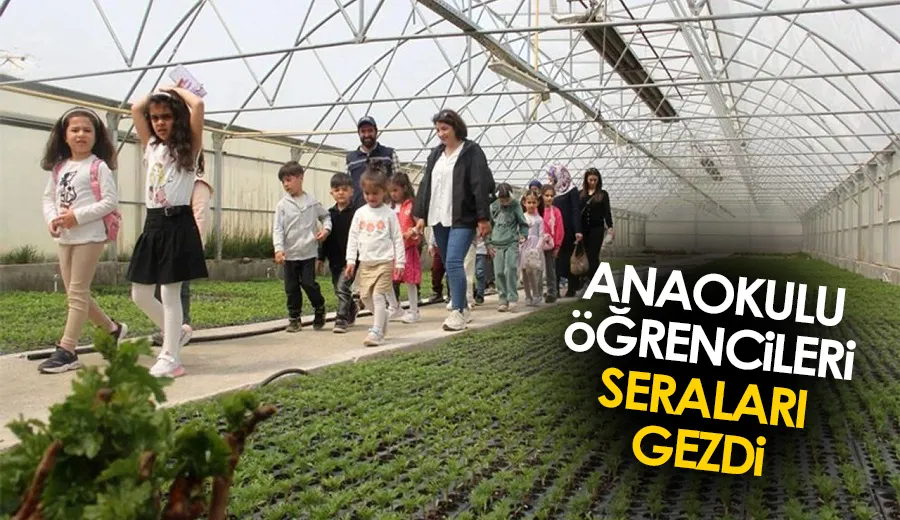 Anaokulu öğrencileri seraları gezdi