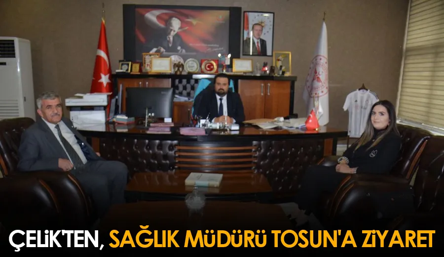Çelik