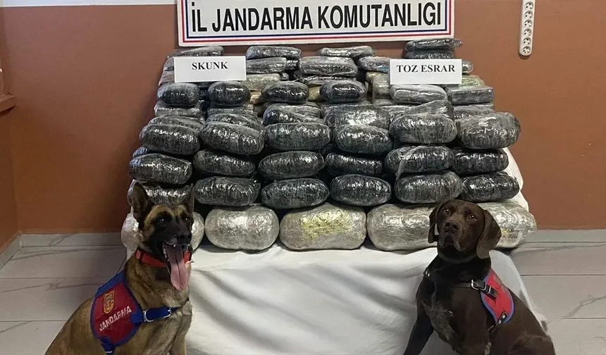 Van’da, Jandarma’dan uyuşturucu operasyonu…