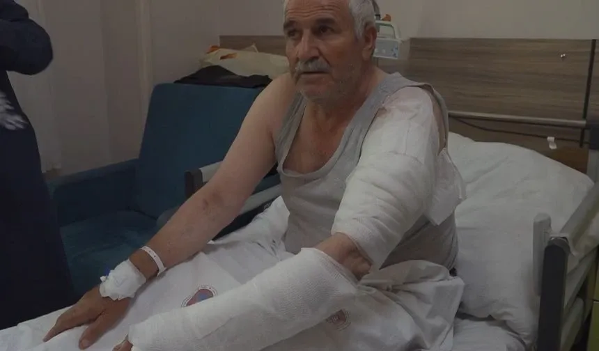 Van’da Kurt Saldırısı 3 Yaralı