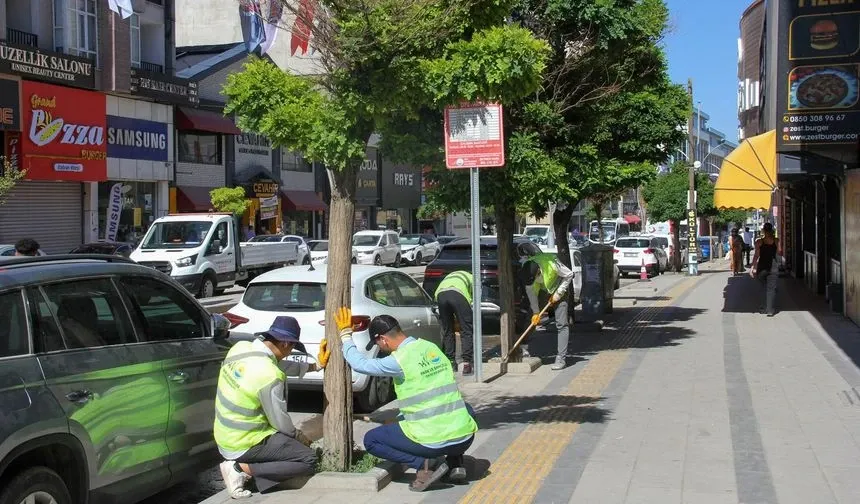 Van Büyükşehir Belediyesi’nden Yeşil Alanlarda Yoğun Mesai