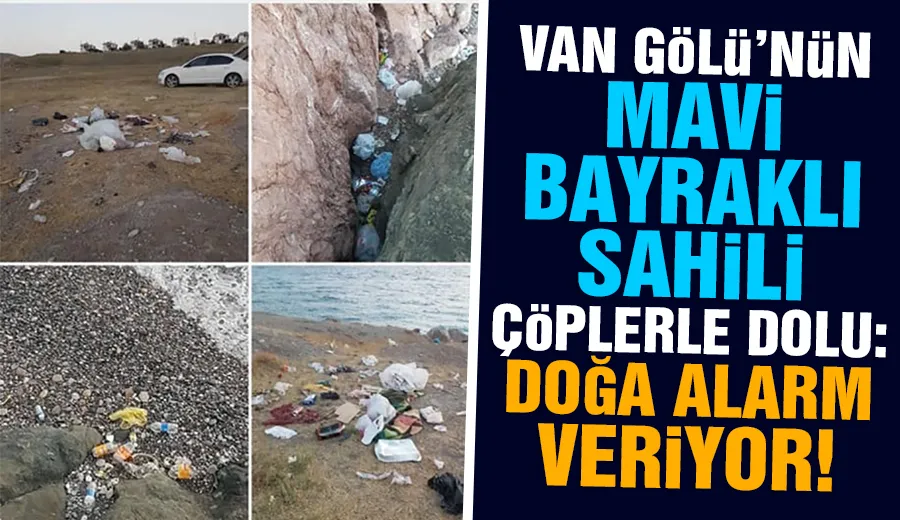 Van Gölü’nün Mavi Bayraklı Sahili Çöplerle Dolu: Doğa Alarm Veriyor!