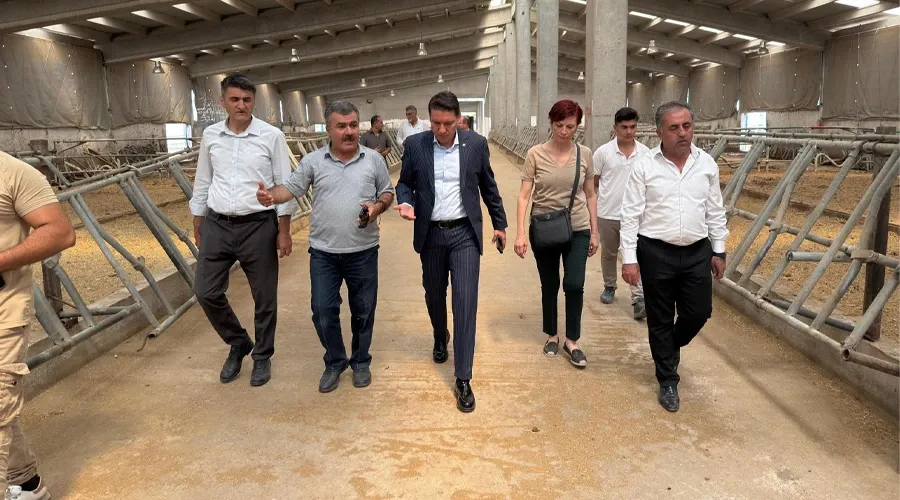  Van Hayvancılığına Dev Yatırım: Düve Üretim Merkezi Projesi Saha İncelemesiyle Göz Doldurdu