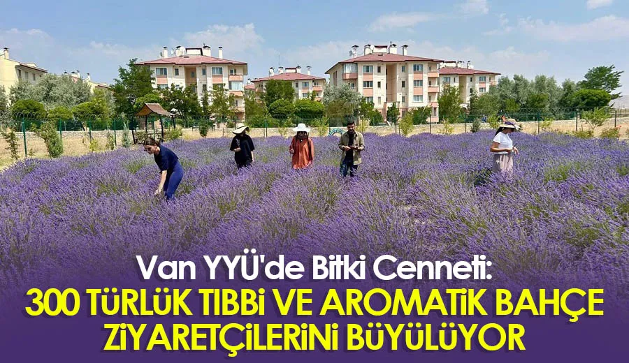 Van YYÜ