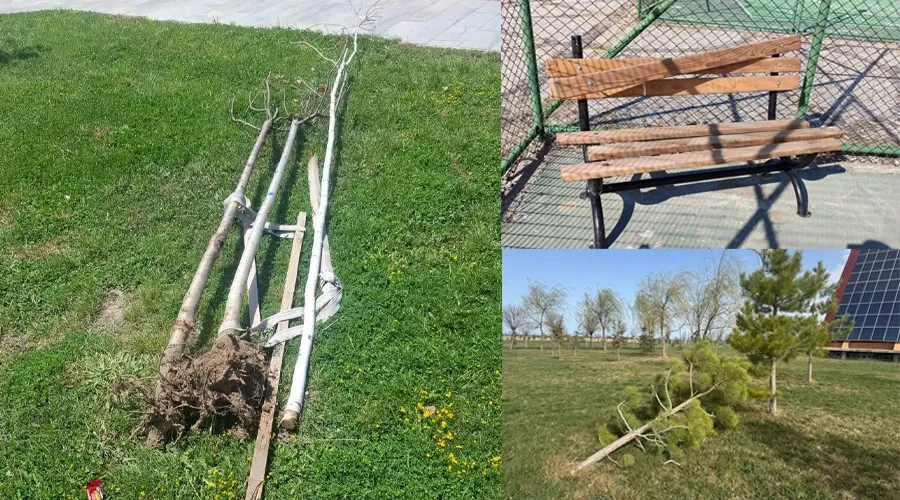 Van Gölü Sahil Yolu