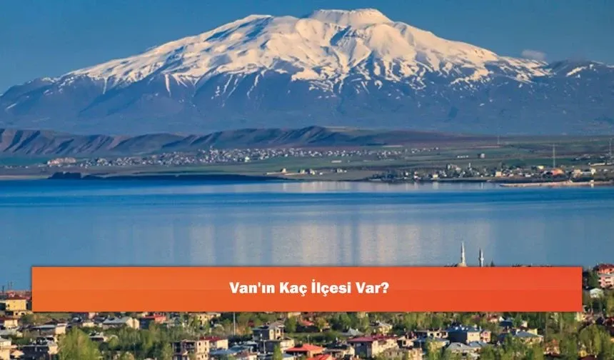 Van