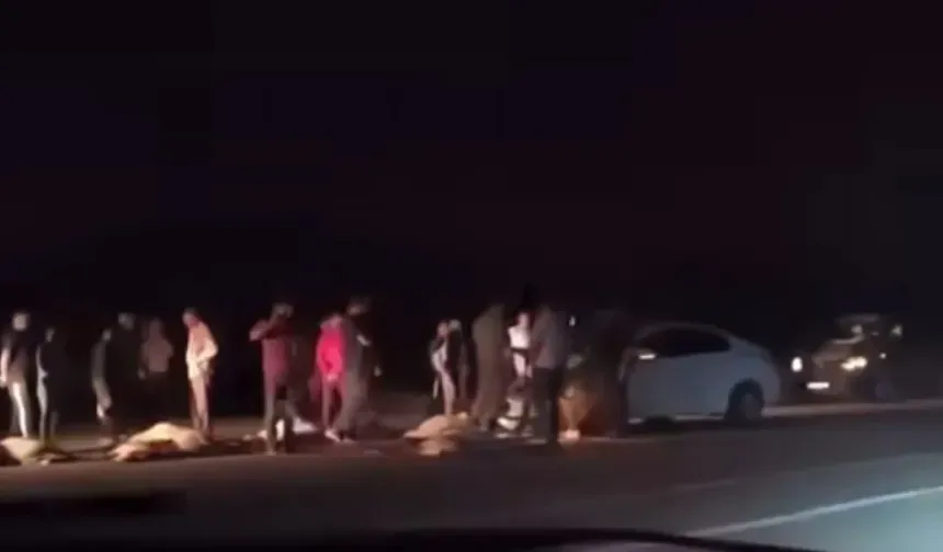 Van’da Koyun Sürüsüne Araç Çarptı, Çoban Ağır Yaralı