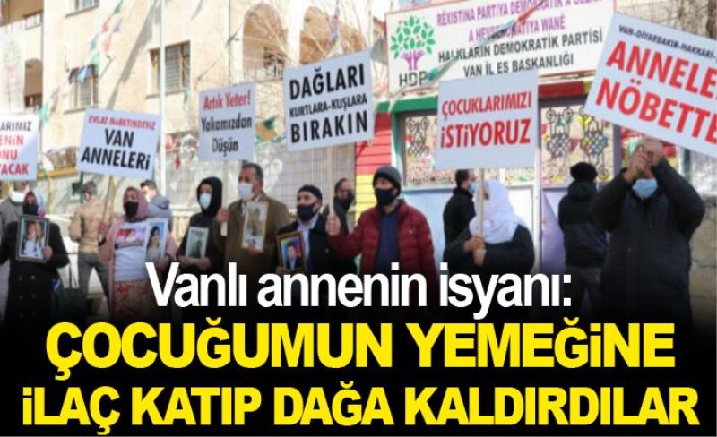 Vanlı annenin isyanı: Çocuğumun yemeğine ilaç katıp dağa kaldırdılar