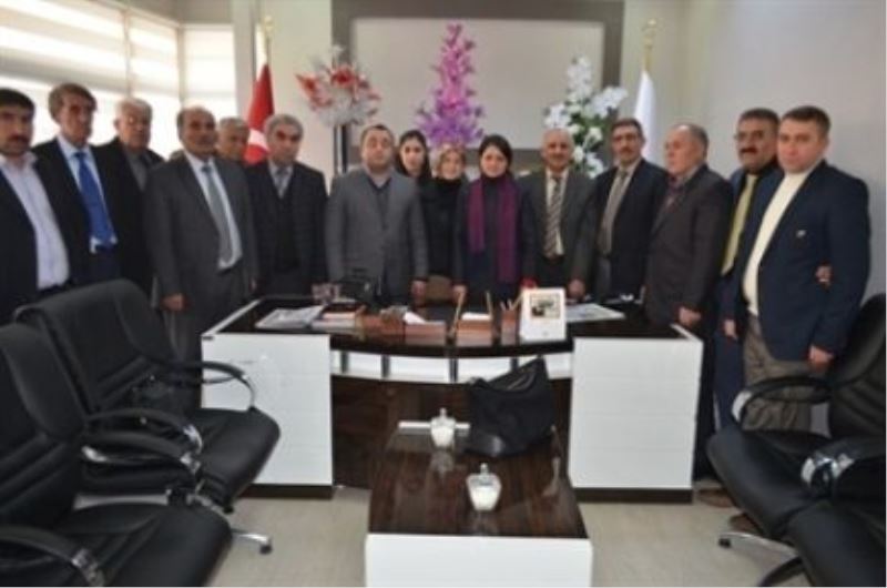 Gülşen Orhan: 
