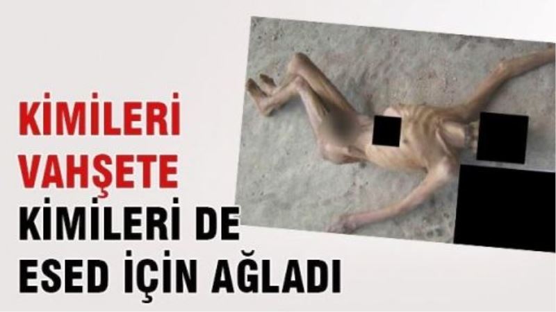 Kimileri vahşete, kimileri de Esed için ağladı
