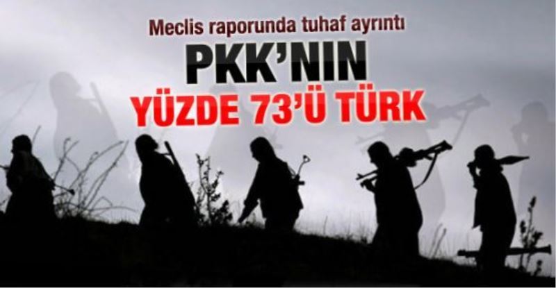 PKK ile ilgili kapsamlı rapor